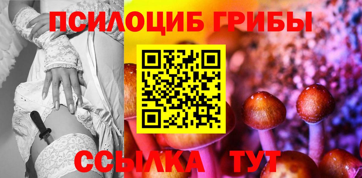 Псилоцибиновые грибы ЛСД  Вход с VPN  Сегежа 